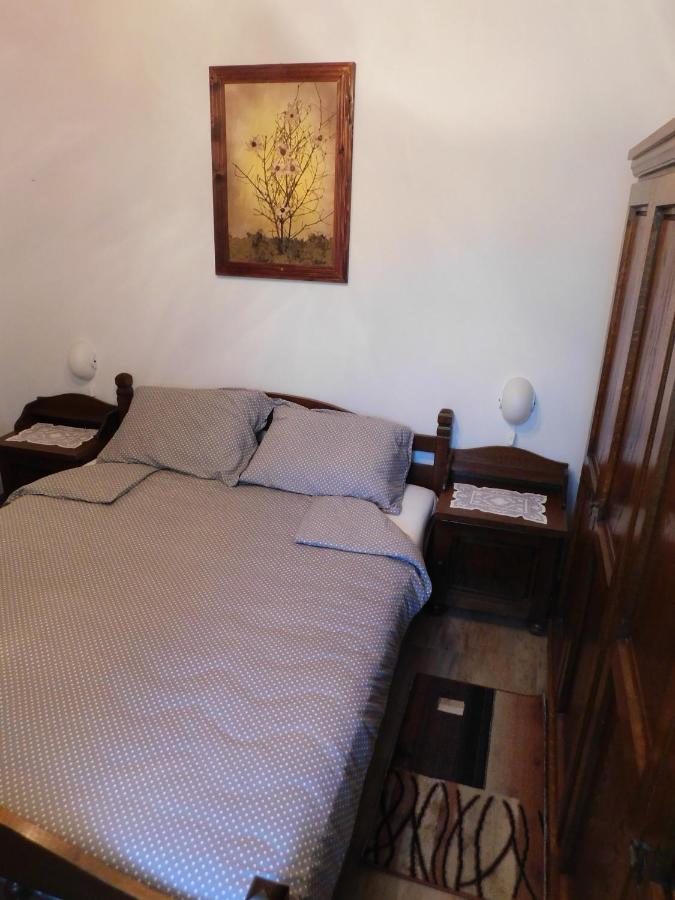Kamnita Hisa Stari Klesar Villa Ilirska Bistrica Buitenkant foto