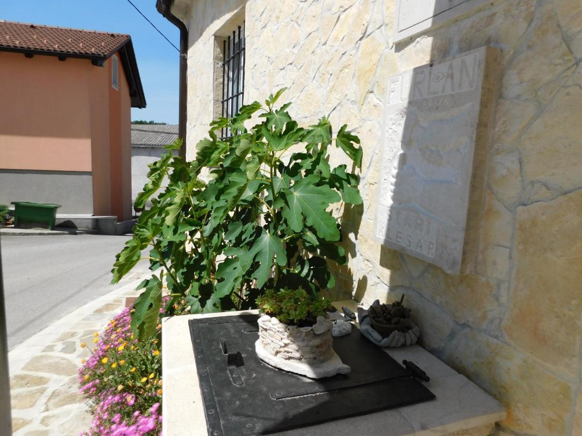 Kamnita Hisa Stari Klesar Villa Ilirska Bistrica Buitenkant foto